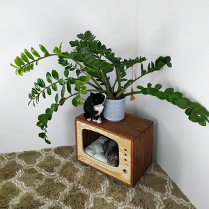 Vieux <span class=keywords><strong>lit</strong></span> TV personnalisé pour chat Meubles d'intérieur pour chat Style moderne avec un toit de <span class=keywords><strong>lit</strong></span> pour chat pouvant contenir des objets divers - Product Image 2