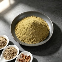 Bulk Supply Cumin Powder No Additives Raw Spice Material for OEM Mixed Condiment Food Processing