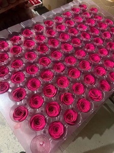 ดอกกุหลาบนิรันดร์ดอกกุหลาบธรรมชาติที่เก็บรักษาไว้สำหรับวันคริสต์มาสของขวัญวันแม่สำหรับวันวาเลนไทน์ - Product Image 6