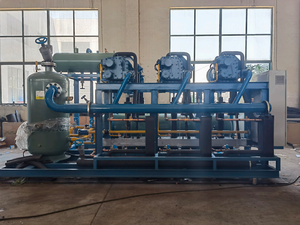 เครื่องอบแห้งแบบแช่แข็งเชิงพาณิชย์/เครื่องไลโอฟิไลเซอร์สำหรับผลไม้ รองรับน้ำหนักวัตถุเข้าได้ตั้งแต่ 50 กก. ถึง 300 กก. - Product Image 5