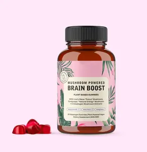 Brain Boost Gummies Veganistische Leeuwen Manen Mushroom Nootropics Gummies Voor Energie-En Geheugenfocus Paddestoelaangedreven Hersenknop