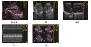 Mesin Ultrasound mobil Mini saku, sonografi anjing genggam portabel Ultrasound dengan layar - Product Image 6