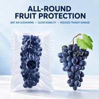 Film protecteur gonflable pour fruits en PE, résistant aux chocs, pour le transport (taille personnalisée)