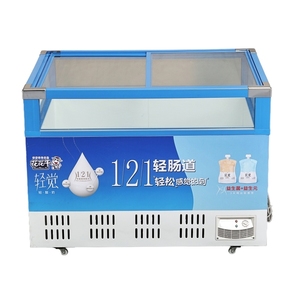 Nouveau modèle commercial porte en verre transparente congélateur coffre économie d'énergie double porte congélateurs petits pour la maison - Product Image 5