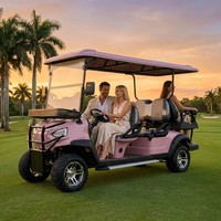 Voiturette de golf électrique Tarion 6 places 4+2, moteur AC 60V 4.0kW, suspension avant à ressorts à plaques, homologuée pour la route, 35 km/h, autonomie 90 km