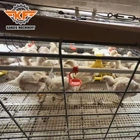 Cage à poulets automatique de type H en métal galvanisé à chaud pour élevage avicole aux Philippines