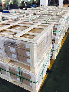 Modelo de <span class=keywords><strong>esqueleto</strong></span> canino para perro, enseñanza de biología humana - Product Image 3