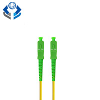 Kabel Patchcord Fiber Optik SC/APC SC/UPC SM MM Simplex Duplex Jumper FC SC APC LC UPC ST E2000 MTRJ 1M 3M 5M