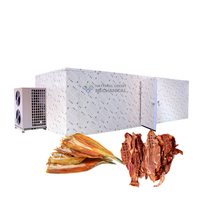 Energiebesparende voedseldroger voor vis, sardines, kip, geitenvlees en andere producten.