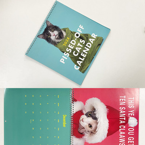 2026 Pissed-Off Cats admite decoraciones de escritorio personalizadas para personalizar calendarios - Product Image 2