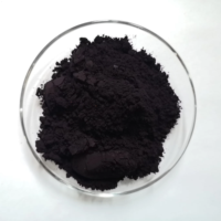 Poudres de Pigment Violet Transparent Solvantable 13