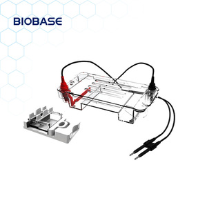 ถังอิเล็กโตรโฟรีซิสแนวนอน BIOBASE S สำหรับการตรวจจับ DNA ในชีววิทยาระดับโมเลกุล การแยกด้วยเจลอาร์โรสสำหรับการวิจัย - Product Image 2