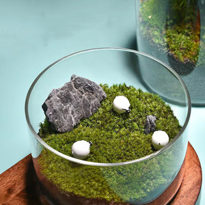 Mousse ronde Micro <span class=keywords><strong>paysage</strong></span> fini bonsaï plante verte fraîche bouteille écologique Vase en pot Vase à cylindre en verre de mariage - Product Image 2
