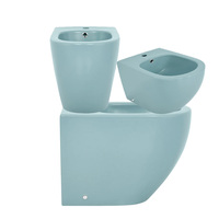 Station de lavage pour toilettes féminines, style européen, pour WC, salle de bain, toilettes publiques, voyage, bidet, robinet portable, WC, commode, hôtel