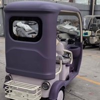 Tricycle de loisirs au design moderne avec moteur électrique sans balais, frein à disque, cabine fermée avec toit, batterie au lithium amovible 60V