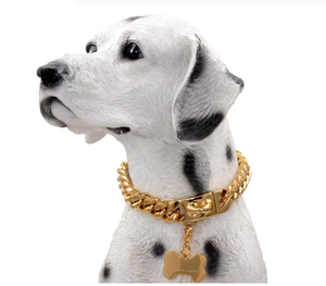 Metall Haustier Training Choke Kette Gold Hunde halsband für kleine mittlere Hunde zubehör Edelstahl Cuban Link Bulldog 32mm BÄNDER - Product Image 5