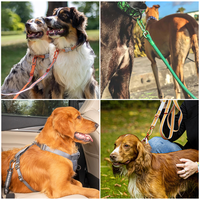 Clip porte-clés polyvalent portable en gros pour animaux de compagnie Crochet mousqueton pivotant en aluminium Mousqueton à verrouillage automatique pour laisse de chien