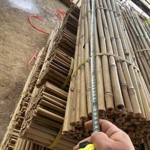 Fabricante de estacas de bambú OEM con tratamiento personalizado de Vietnam para soporte de plantas agrícolas - Product Image 6