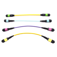 Câble fibre optique 8/12/24 Core SM/MM MPO/MTP avec cordon de raccordement OM3/OM4 pour centre de données Internet Équipement de communication réseau 5G