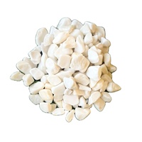 Vente directe usine – Galets décoratifs blancs en dolomite pour jardins, cours arrière, parcs – Galets écologiques et adaptés aux poissons