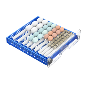 Máy Ấp Trứng Gà 128 Giá Xuất Xưởng Máy Ấp Trứng Tự Động - Product Image 6