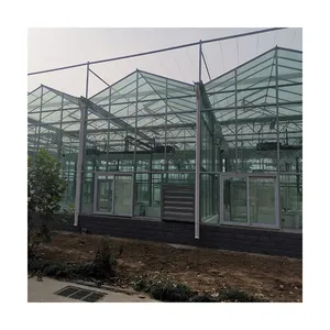 كفاءة Venlo الزراعة معدات الزجاج المقسى مشتل زراعة مائيّة أنظمة