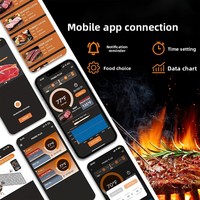 Thermomètre alimentaire sans fil Bluetooth Auplex avec grand écran et quatre sondes - Plage de -10°C à 105°C pour barbecue, four et grill