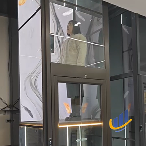 Elevador doméstico de lujo para pequeñas viviendas residenciales <span class=keywords><strong>Wemet</strong></span> Elevador de vacío de pasajeros con elevador de vacío doméstico - Product Image 5
