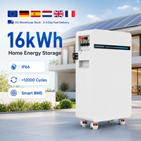 Système solaire domestique au lithium-ion pour batterie 15 kWh 51,2 V 300 Ah LiFePO4, système divisé avec BMS et communication CAN
