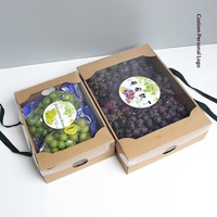Vouwbare rechthoekige fruit- en groenteverpakking cadeaupapierdoos met handvat