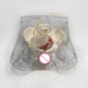 Modèle d'entraînement à la cathétérisme féminin en PVC écologique, structure de l'urètre et de la vessie pour l'enseignement des opérations de cathétérisme en soins infirmiers CE/ISO/ROHS/CNAS - Product Image 6