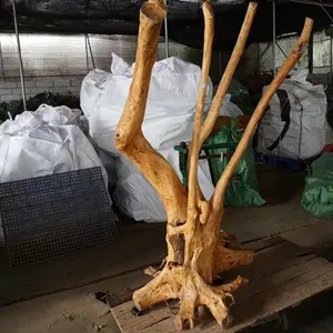 홈 장식 정원 조경 대형 유목 진달래 뿌리