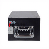 Batterie LiFePO4 à semi-conducteurs série 16 avec poignée portable intégrée, module de stockage d'énergie au lithium à longue durée de vie (2000 cycles)