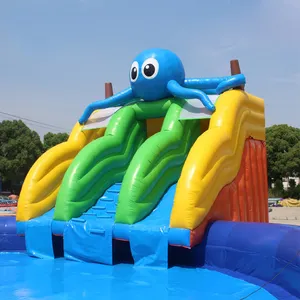 Commercieel Op Maat Gemaakt Ontwerp Duurzaam Entertainment Apparatuur Outdoor Kinderen Opblaasbare Waterglijbaan Met Zwembad