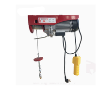 Chine vente en gros 220V monophasé PA Type Mini petit palan électrique à corde