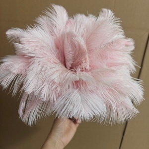 Plumes d'autruche d'Afrique du Sud de qualité supérieure, élégantes, pour la décoration de la pièce, outils de nettoyage pour boutique - Product Image 6