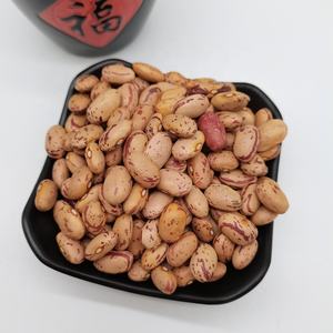 ความชื้น15% สูงสุดธัญพืชสุขภาพใหม่ล่าสุดพืชอาหารยาวรูปร่างรอบแสงจุดด่างดำไต Pinto ถั่ว - Product Image 5