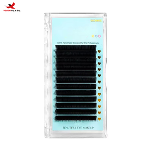 Extensiones de Pestañas de Cachemira Premium al por Mayor, Bandejas de Pestañas de Volumen, Extensiones de Pestañas de Visón de Marca Privada, GZ RTS, Pedido Mixto a Granel - Product Image 1