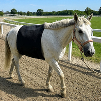 Almohadilla de Terapia LED Personalizable para Caballos, para Programas de Salto y Caza