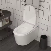 SDAYI Smart Toilette Qualité Européenne Murale En Céramique Sanitaire Économie D'eau pour Salle De Bains Geberit Fashion Style