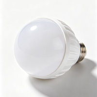 Boîtier de protection en plastique personnalisé pour ampoule LED, pour lampe