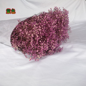 Otras Flores y Plantas Decorativas, Flores de Gypsophila <span class=keywords><strong>Preservadas</strong></span> Coloridas, 1 KG por Ramo - Product Image 4