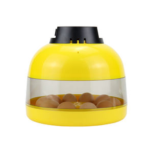 Incubateur miniature <span class=keywords><strong>Janoel</strong></span> pour <span class=keywords><strong>10</strong></span> œufs, machine à couver pour œufs de caille, de perroquet, de canard et d'oiseaux - Product Image 1