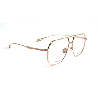 Lunettes de soleil élégantes et minimalistes en titane pour hommes et femmes, monture champagne, verres polarisés, légères, protection UV, plastique TAC gris