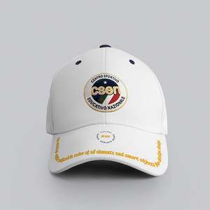 Parches Bordados Termoadhesivos Personalizados con Diseño de Bandera Deportiva y Animal de Dibujos Animados 3D para Ropa, Gorras y Sombreros - Product Image 6