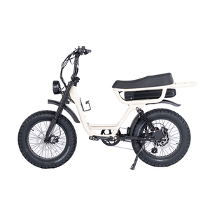 Vélo électrique 750w Fat E Bike 20 pouces avec pneus larges, vélo électrique pas cher Fatboys Cruzr Flightriskk pour la livraison de nourriture - Product Image 2