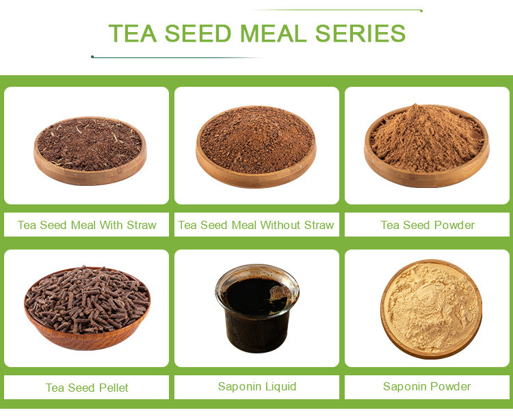 Tea Saponin manufacturer