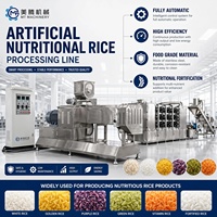 Ligne de production de riz nutritionnel artificiel entièrement automatique en acier inoxydable, système intégré de mélange, d'extrusion, de séchage et d'emballage
