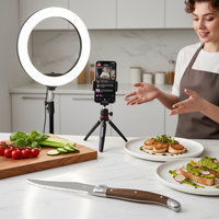 Couteau à viande en acier inoxydable à manche en bois, lames dentelées, lot de 6 couteaux à steak Laguiole pour la maison, les barbecues et les fêtes