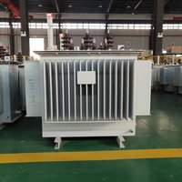Transformador de Potencia Trifásico de 10KV 160KVA, Sumergido en Aceite, Autoenfriado, Tipo Flyback, de Aluminio, 50/60Hz